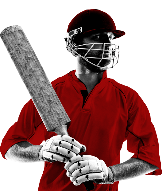 Cricket data feed api