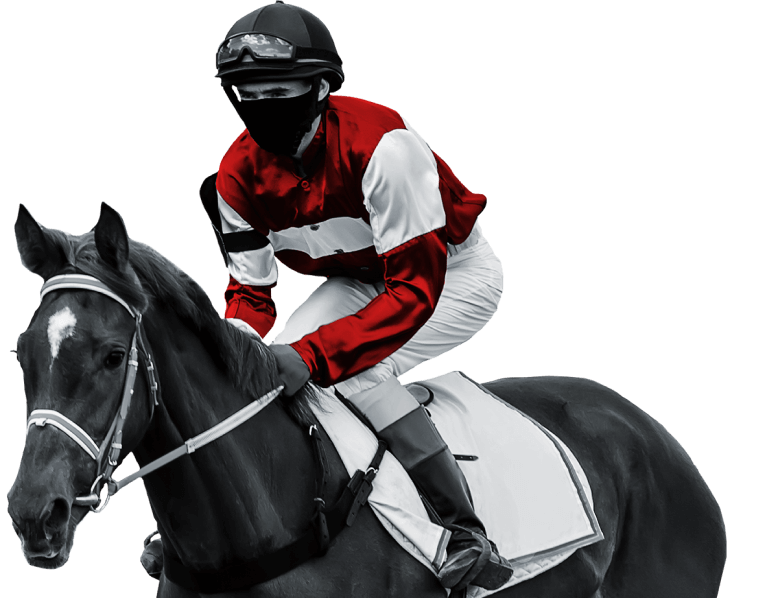 API DE FEED DE DADOS DE CORRIDA DE CAVALOS